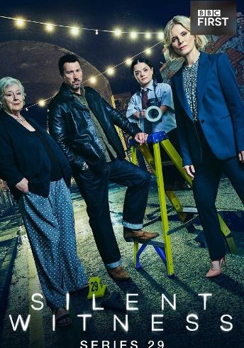 无声的证言第二十九季
